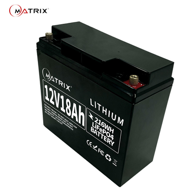 Navulbaar Onderhoud Vrije 12V LiFePo4 Battery12.8v voor het Gebied van de V.S.