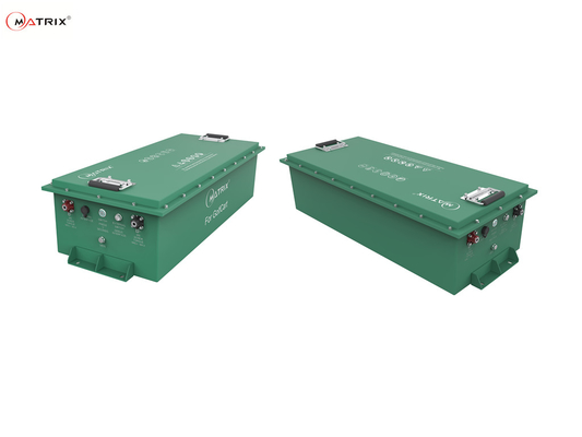 Lifepo4 48 volt lithium-ionbatterij voor golfkar met monitor BMS golfkarbatterijen