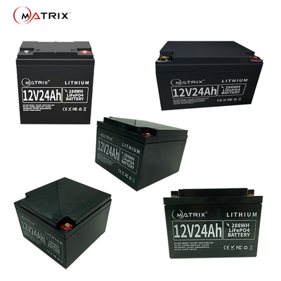 12V24Ah-Vervanging van SLA van diep-Cycluslifepo4 UPS de Navulbare Batterijen Navulbare