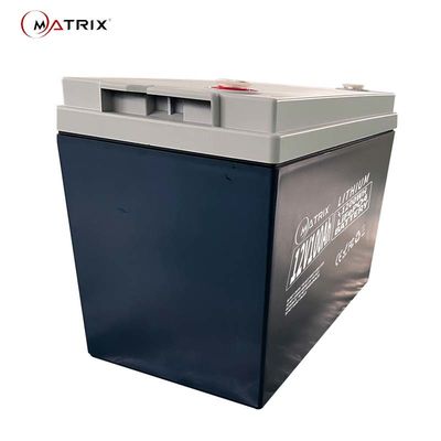 Lithium Ion Solar Energy Battery 12v100ah LiFePO4 met het 2000 Keer Cyclusleven